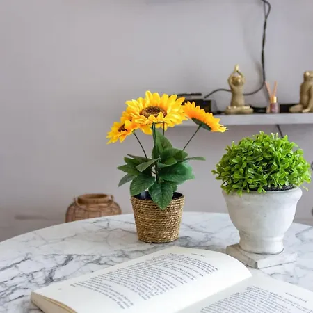 Le Bricka - Hypercentre - Cosy - 2 Min From The Sea Antibes